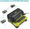 how to charge foy ryobi 40v battery charger OP401 40V 6.0Ah